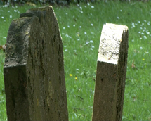 plaatje: Kisten en rottend hout zichtbaar