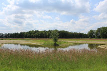 plaatje: Natuurbegraafplaats Het Wienerveeld officieel geopend